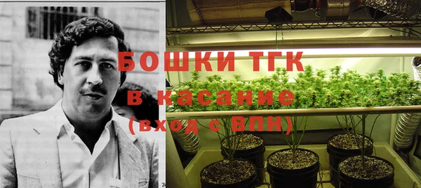 спиды Карталы