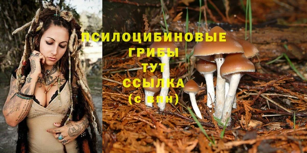 марки nbome Карпинск