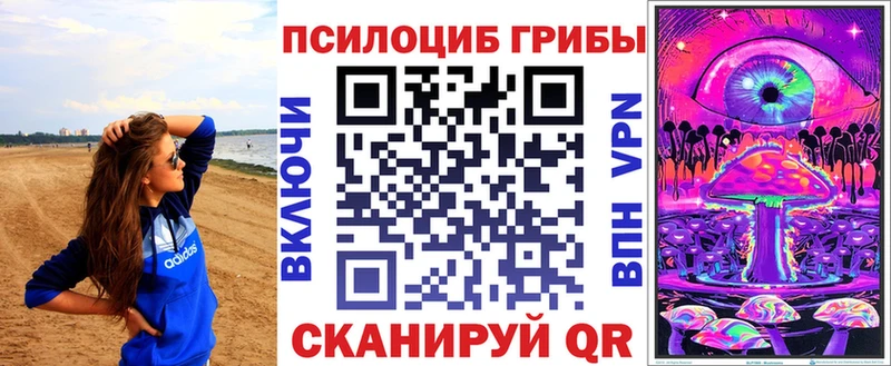 Псилоцибиновые грибы Psilocybe  Купить закладки  Арсеньев 
